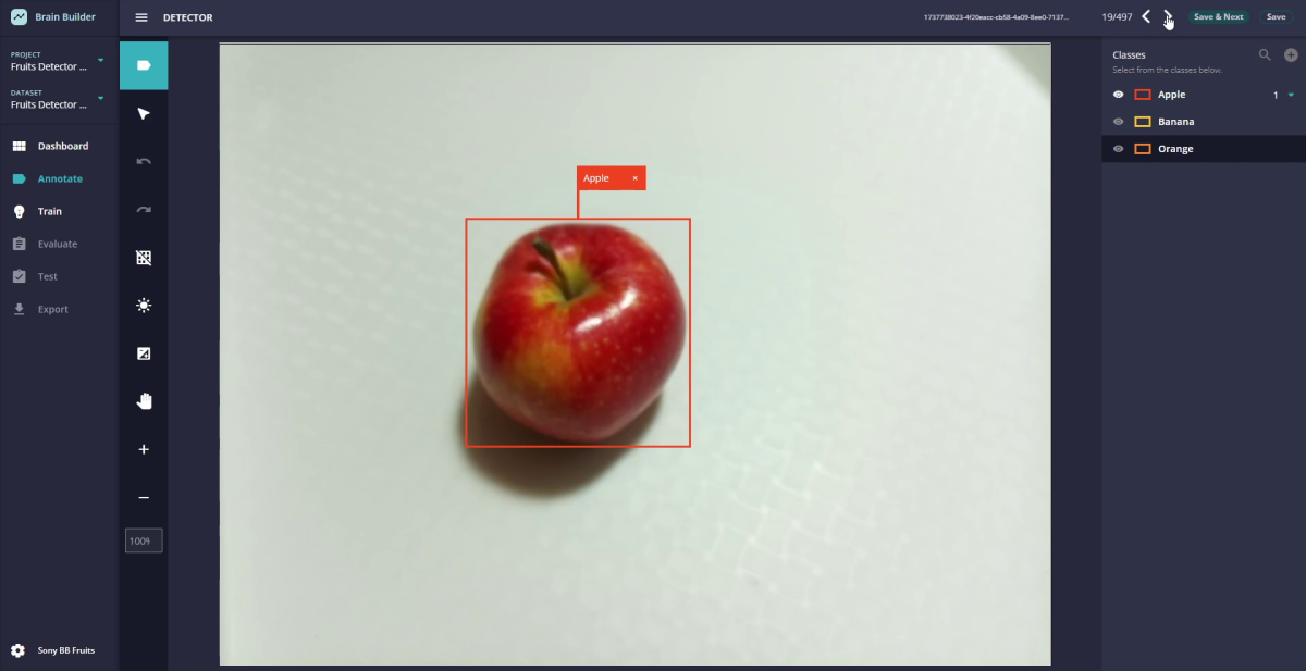 Example of an apple image being annotated in Brain Builder