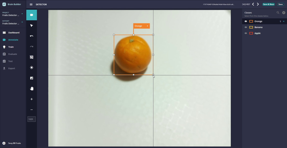 Example of an orange image being annotated in Brain Builder
